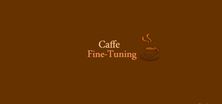 آموزش Caffe بخش چهارم : fine-tuning