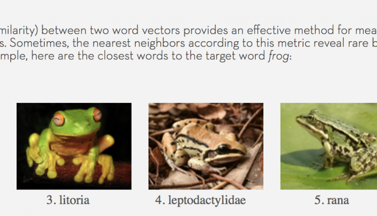 nearest-neightbour-vectors-frog-stanford-deeplearningir